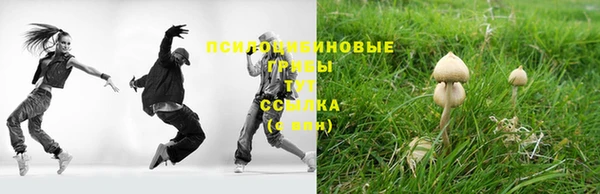 кристаллы Белокуриха