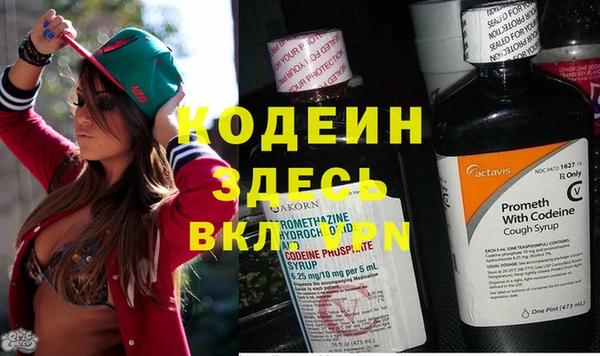 дурь Богородицк