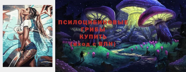 эйфоретик Беломорск