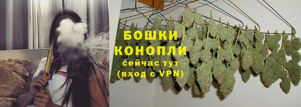 эйфоретик Беломорск